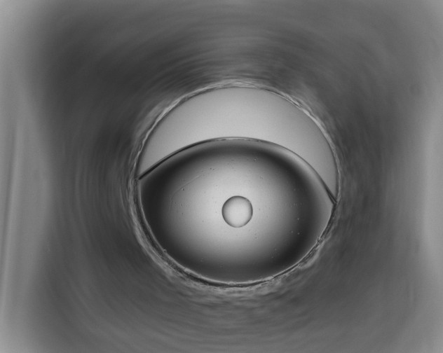 X0000114020001200910021427