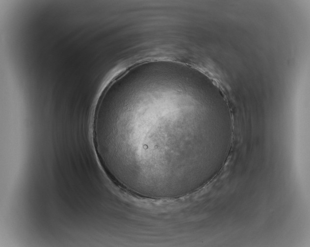 X0000114020003200910021427