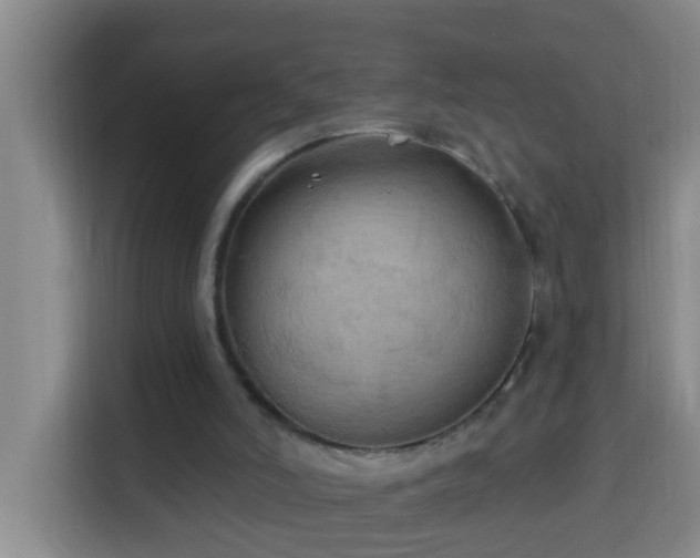 X0000114020006200910021427