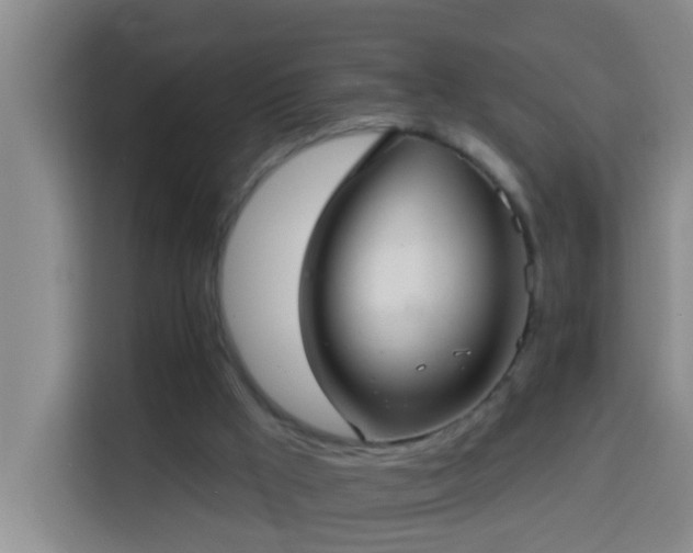 X0000114020009200910021426