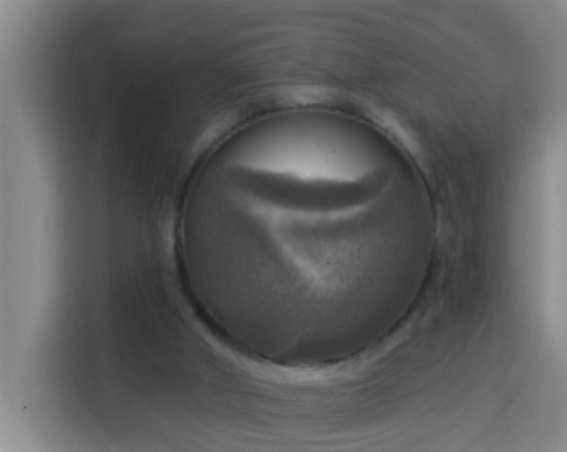 X0000114020010200910021426