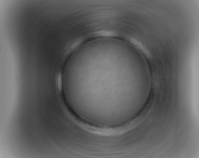 X0000114020014200910021426