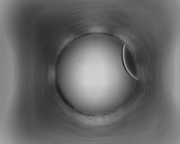 X0000114020015200910021426