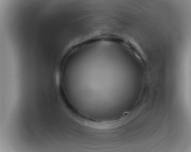 X0000114020019200910021426