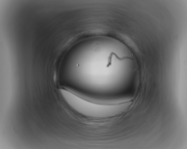 X0000114020021200910021426