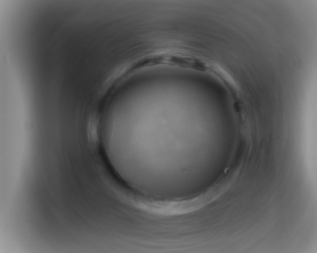 X0000114020023200910021426