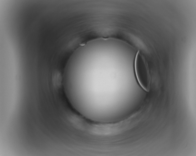X0000114020025200910021426