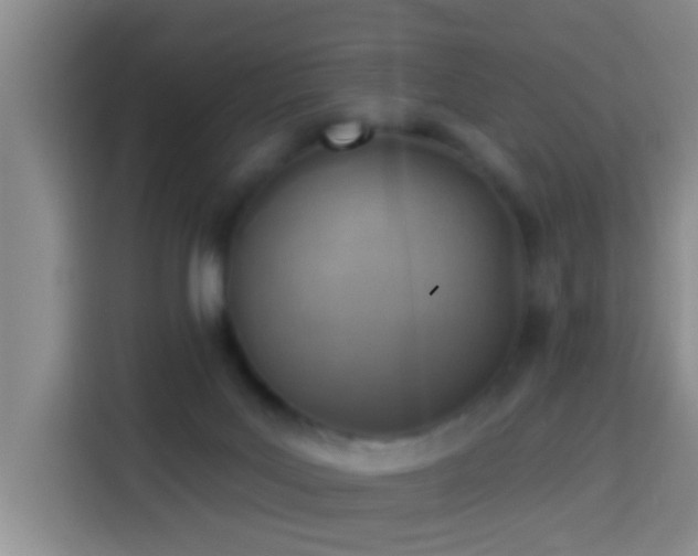 X0000114020027200910021426