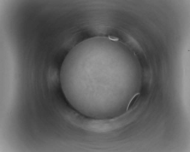 X0000114020029200910021426