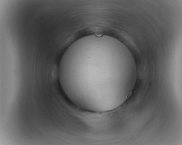 X0000114020036200910021426