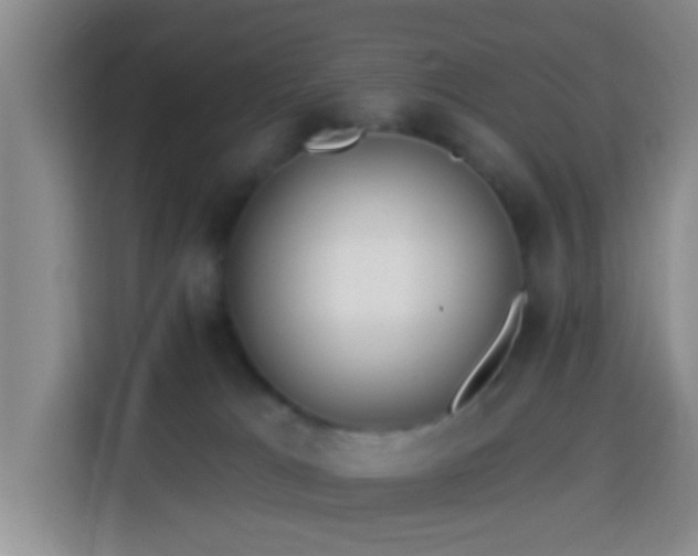 X0000114020037200910021426