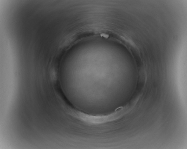 X0000114020039200910021426