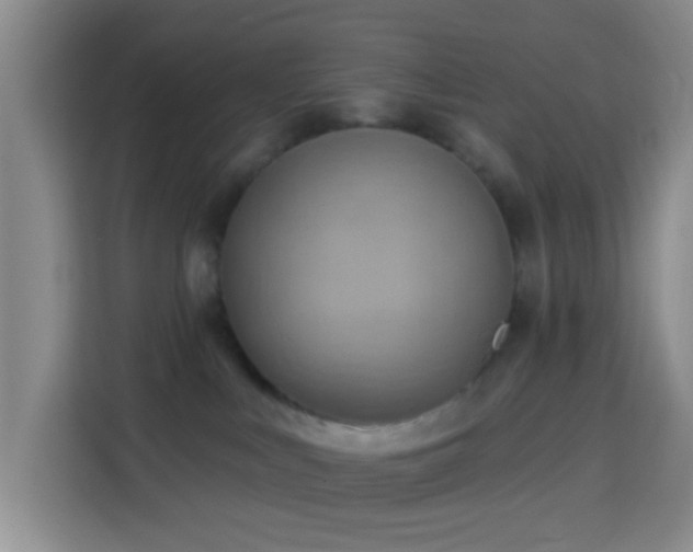 X0000114020043200910021426