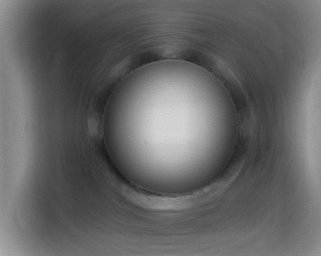 X0000114020044200910021426