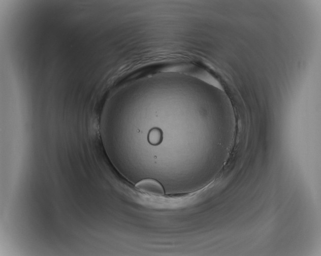 X0000114020048200910021426