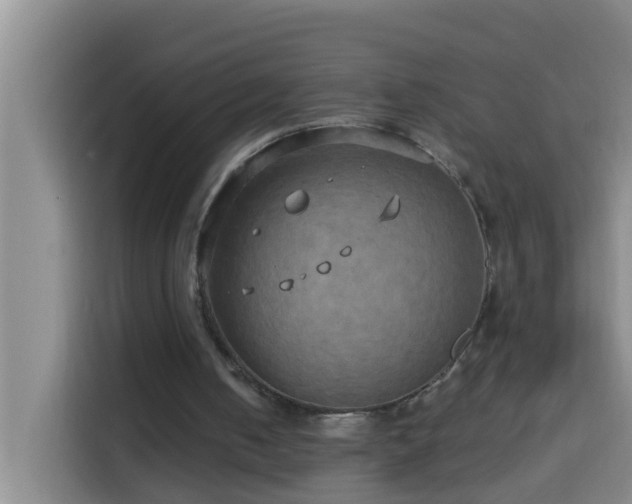 X0000114020050200910021425