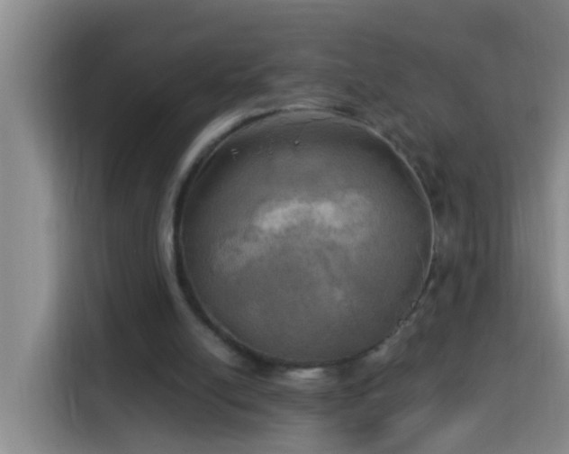 X0000114020054200910021425