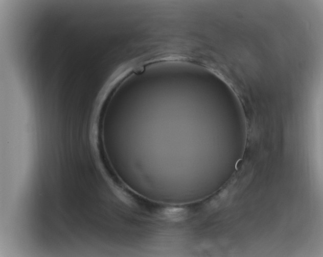 X0000114020055200910021425
