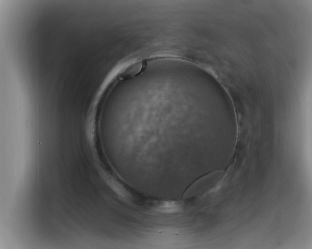 X0000114020056200910021425
