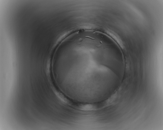 X0000114020058200910021425