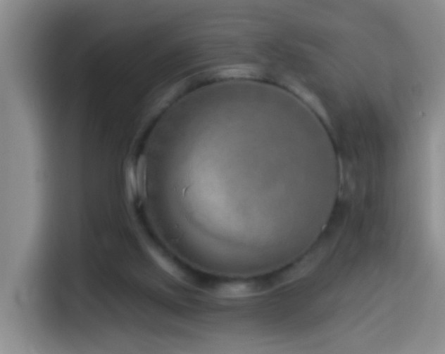X0000114020061200910021425