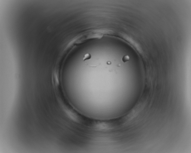 X0000114020062200910021426