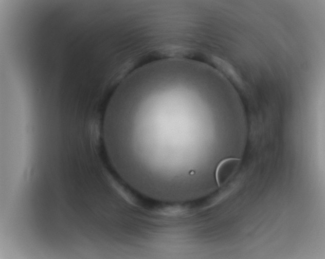 X0000114020065200910021426