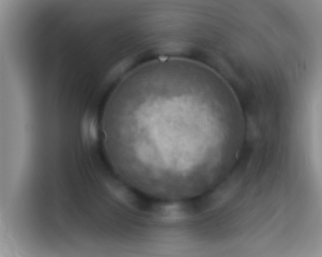 X0000114020068200910021426