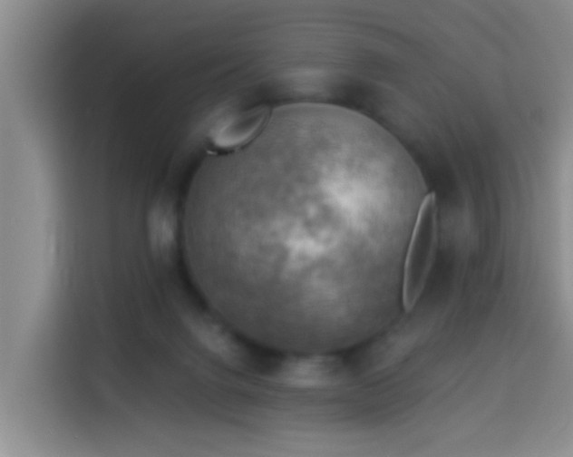 X0000114020072200910021426