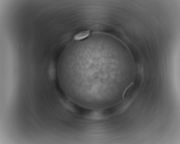 X0000114020080200910021426
