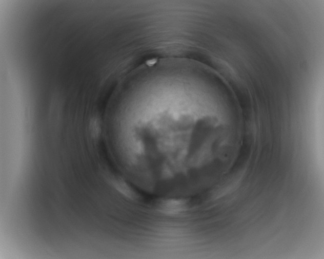 X0000114020081200910021426