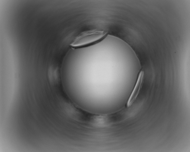 X0000114020088200910021426