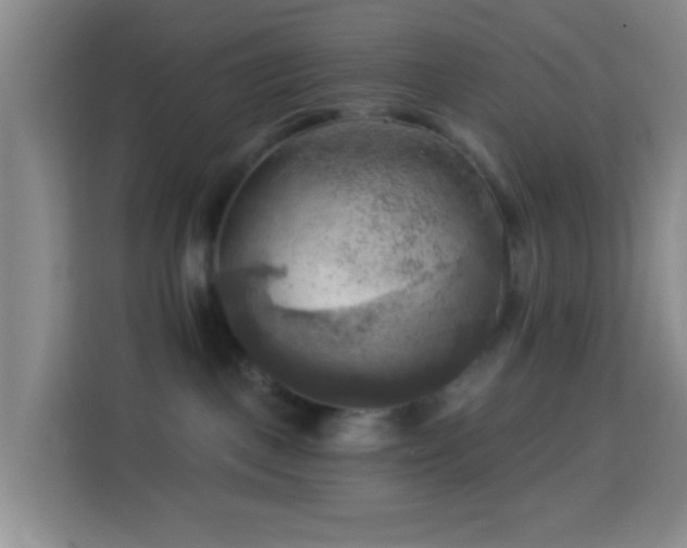 X0000114020093200910021426