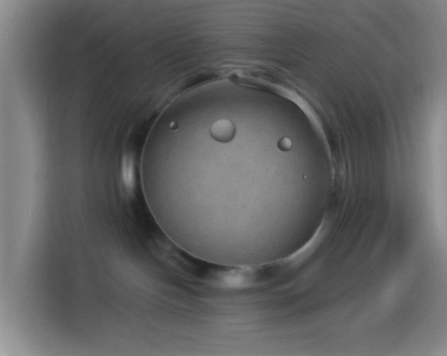 X0000114020094200910021426