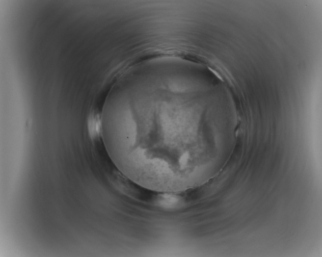 X0000114020095200910021426