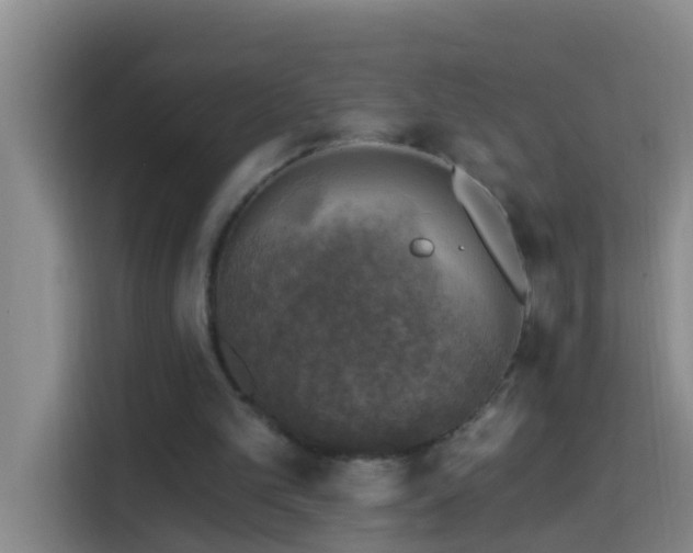 X0000114020101200910021425