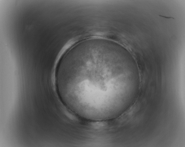 X0000114020102200910021425
