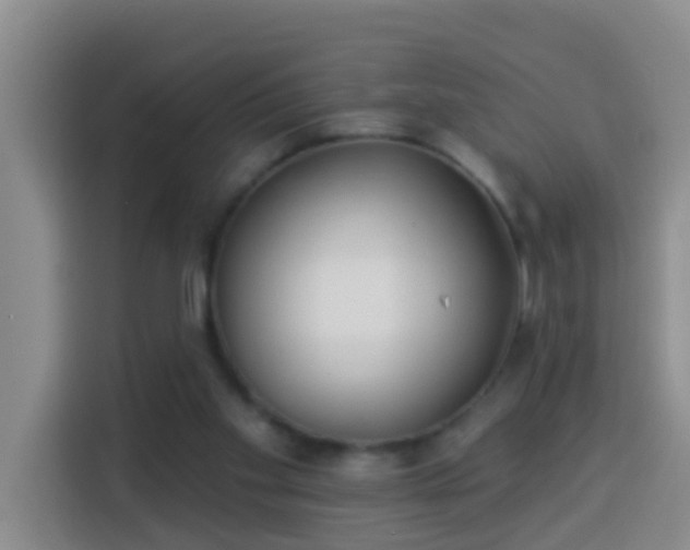X0000114020109200910021425