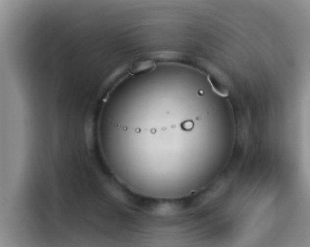 X0000114020111200910021425