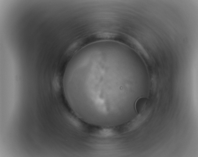 X0000114020114200910021425