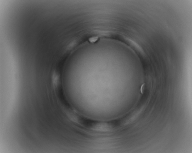 X0000114020123200910021425