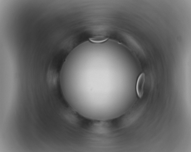 X0000114020125200910021425