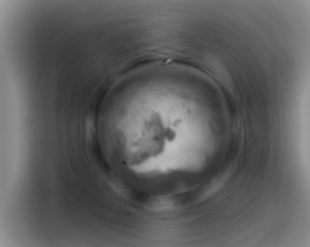 X0000114020127200910021425