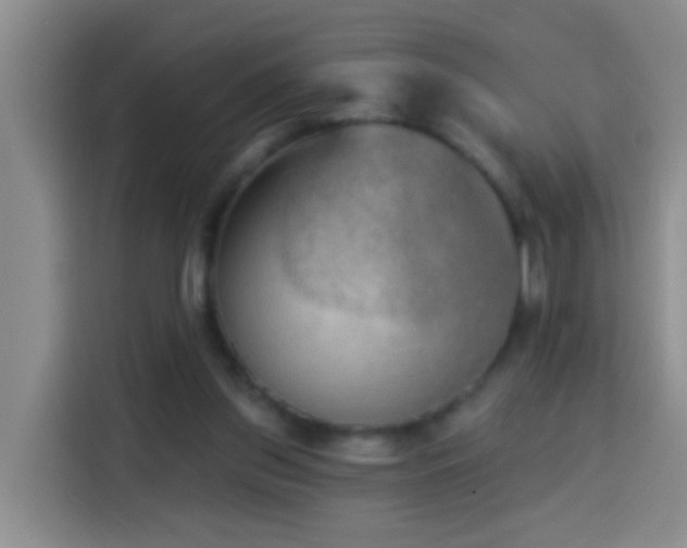 X0000114020157200910021424
