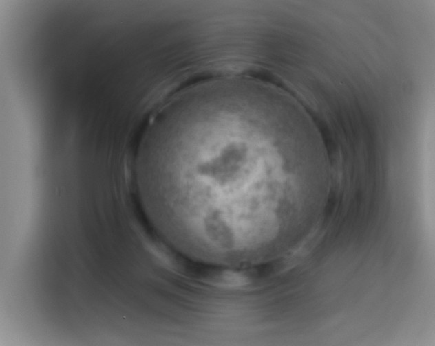 X0000114020166200910021424