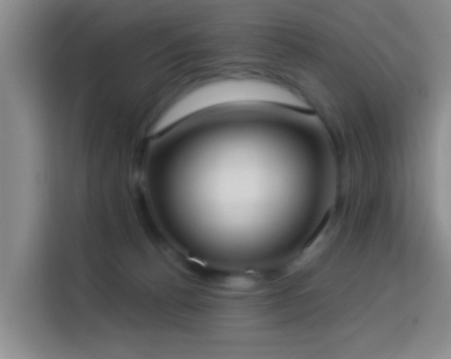 X0000114020176200910021424