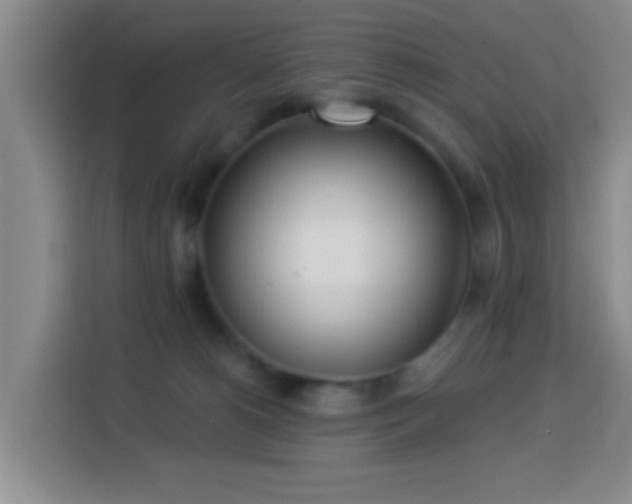 X0000114020180200910021425