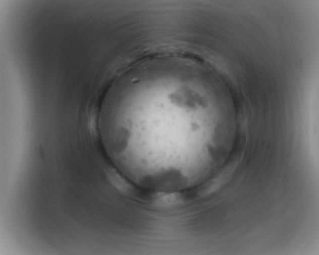 X0000114020185200910021425