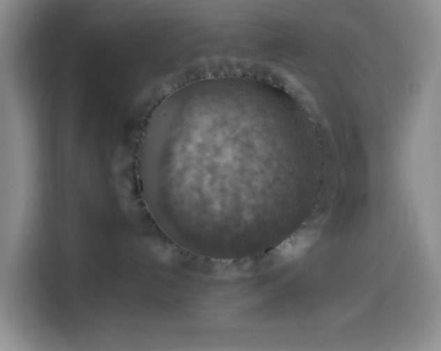 X0000114020192200910021425