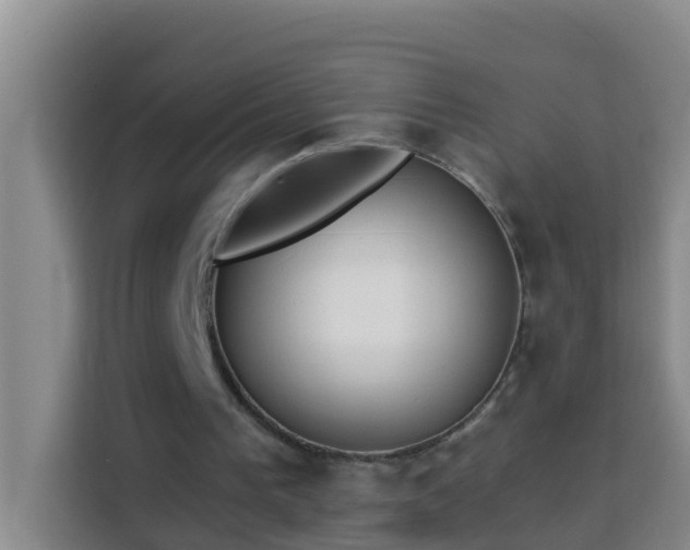 X0000114020193200910021424